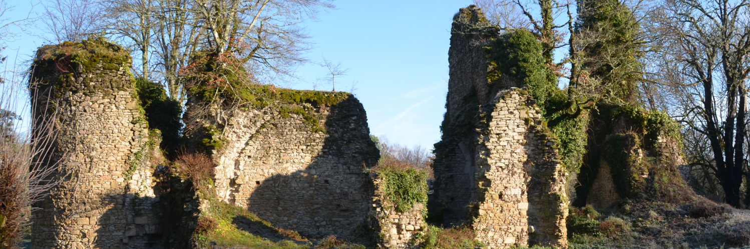 Ruines du château