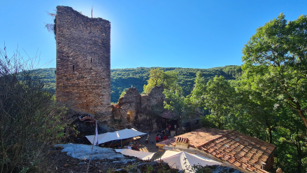 Château de la Roque